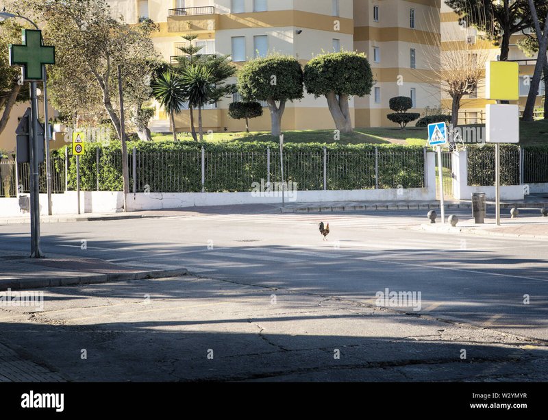 Chicken road game - Descubre el emocionante mundo de Chicken Road en España: juegos y casinos